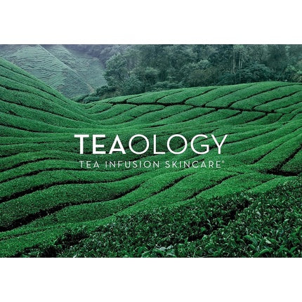 Cremă față Teaology Gingiber 50ml, alb, cutie