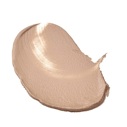 Fundă de machiaj L'Oréal Paris Infallible Total Cover 13 Beige Rosé 35g