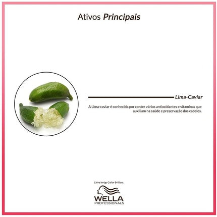 Concentrat de culoare, Wella Invigo, Color Brilliance 100ml