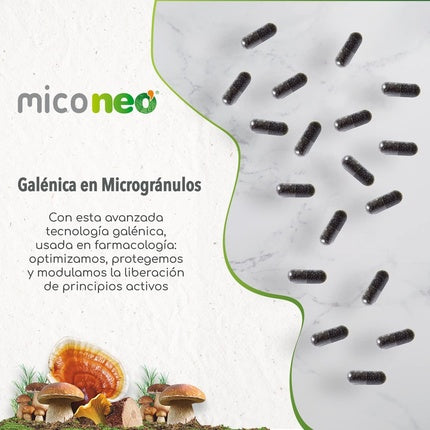 Capsule Mico Neo Leon Melena, 60 buc