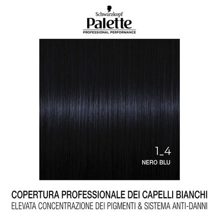 Vopsea de păr, Schwarzkopf Palette, negru albastru