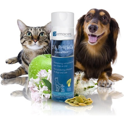 Șampon Dermatologic Dermoscent Efa Physio, 240 ml, pentru câini și pisici, cu ulei de dovleac