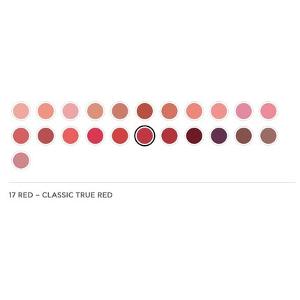 Radiant Professional Ultra Nourishing Matte Lipstick 17 Red Velvet