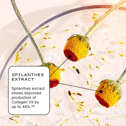 Ser facial, Jurlique, Nutri-Define, maro