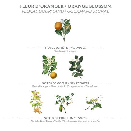 Panier Des Sens Marseille Orange Blossom Liquid Soap 500ml - Made in France