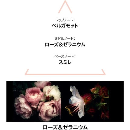 Apă de Toaletă, Le Couvent, Aqua Paradisi, 50ml