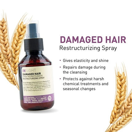 Spray restructurant păr deteriorat, Insight, 100ml