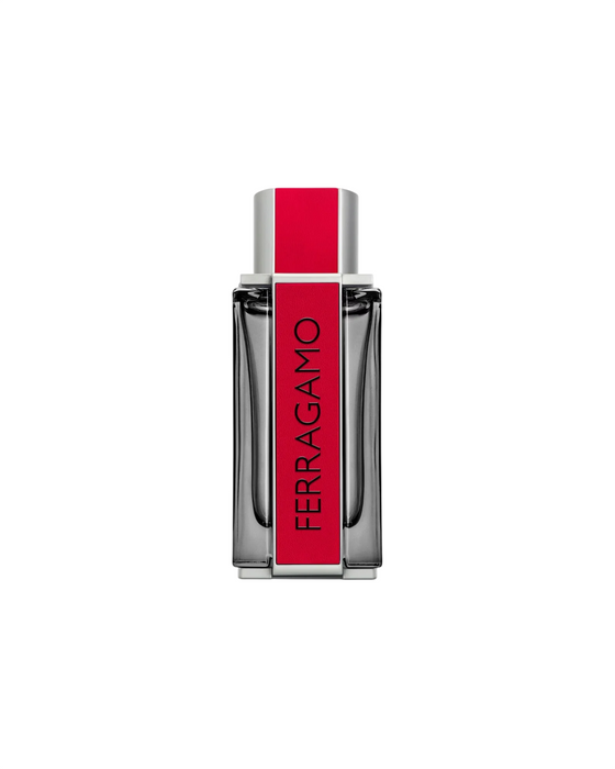 Apă de parfum Salvatore Ferragamo Red Leather, pentru bărbați, 100 ml, tester